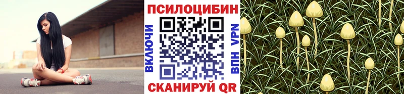 kraken рабочий сайт  Касимов  Псилоцибиновые грибы GOLDEN TEACHER  дарнет шоп 